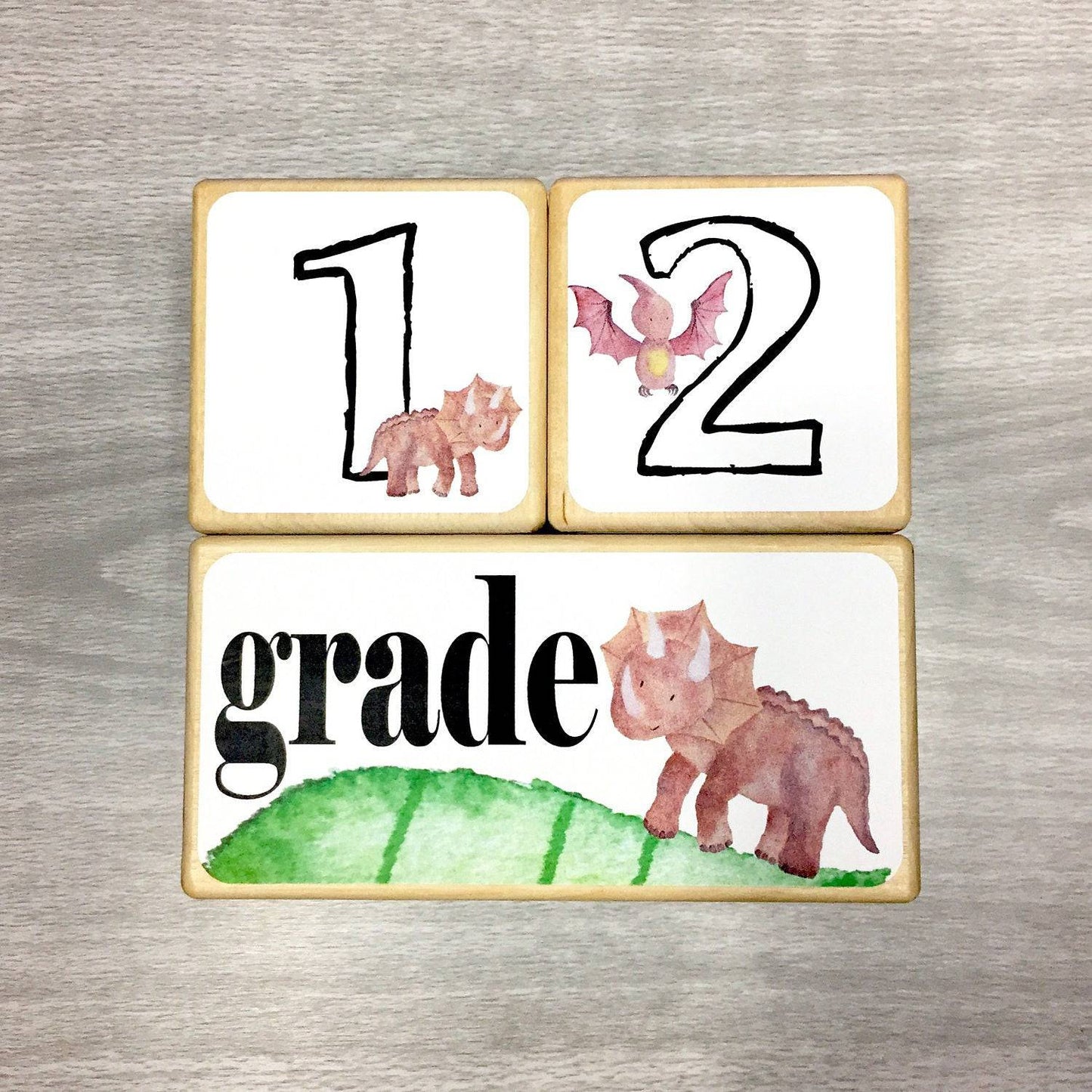 Baby Milestone Blocks - Dinosaur