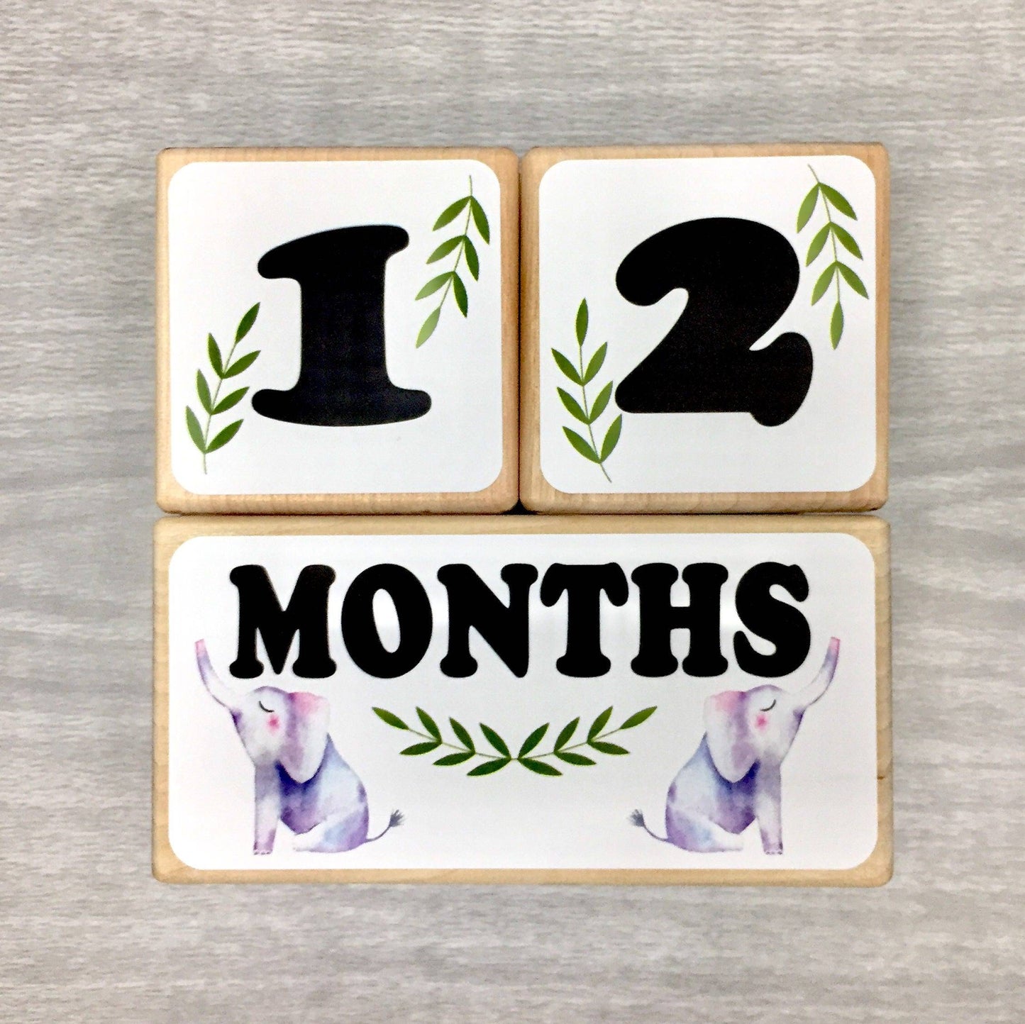 Baby Milestone Blocks - Elephants