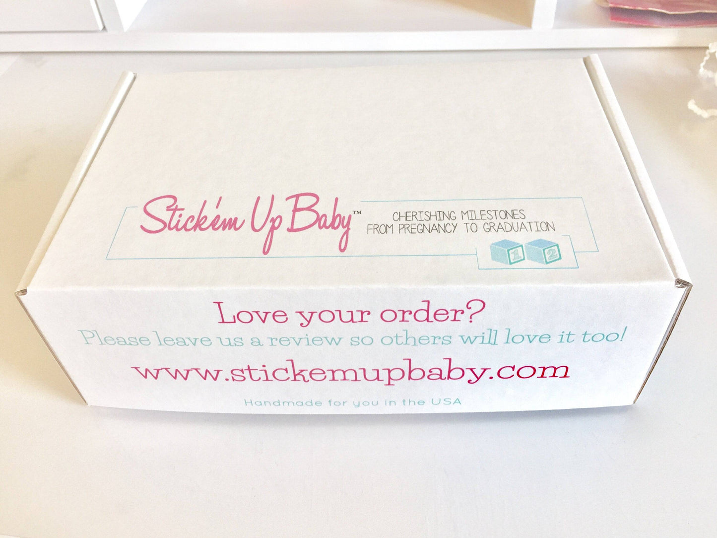 Baby Milestone Blocks - Sloth