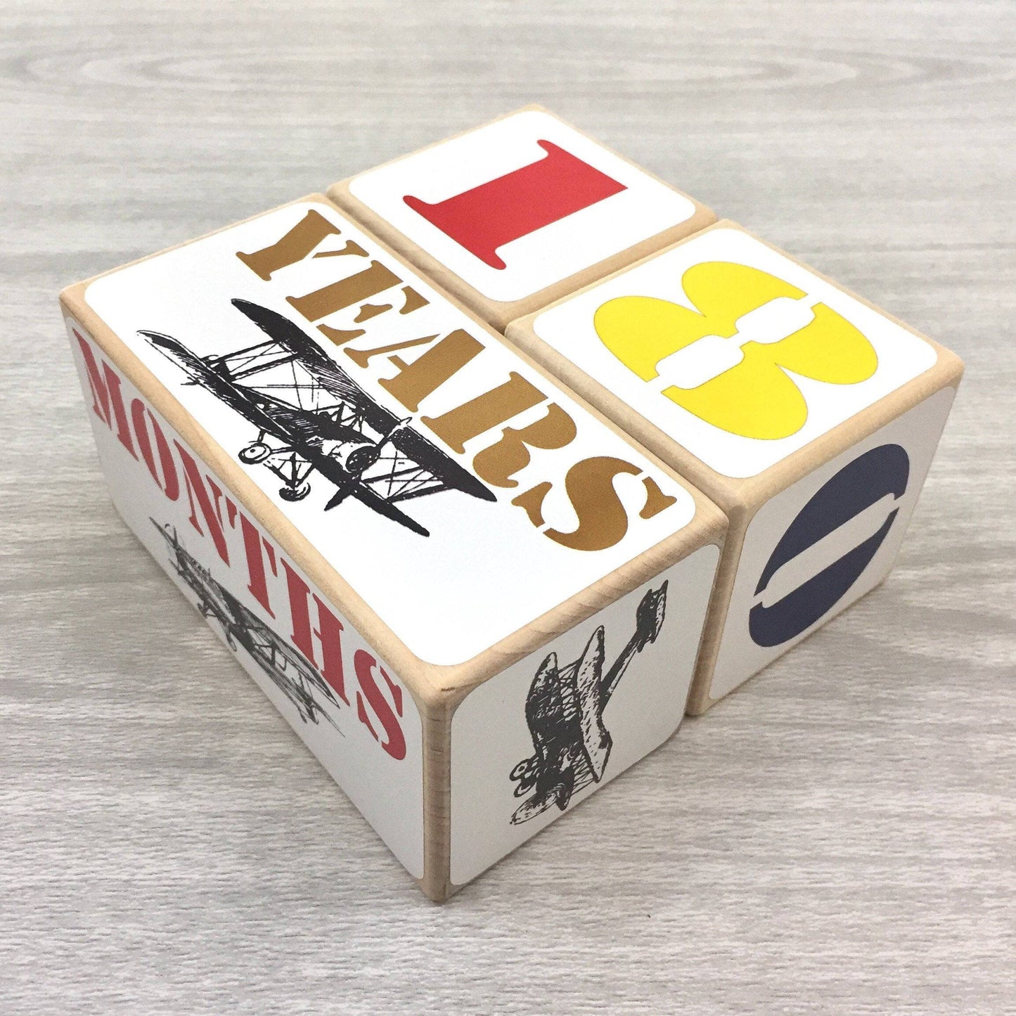 Baby Milestone Blocks -Vintage Airplanes
