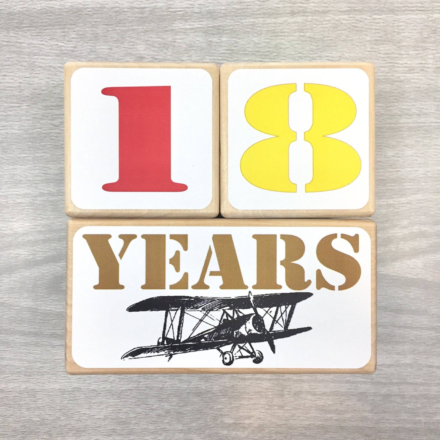 Baby Milestone Blocks -Vintage Airplanes