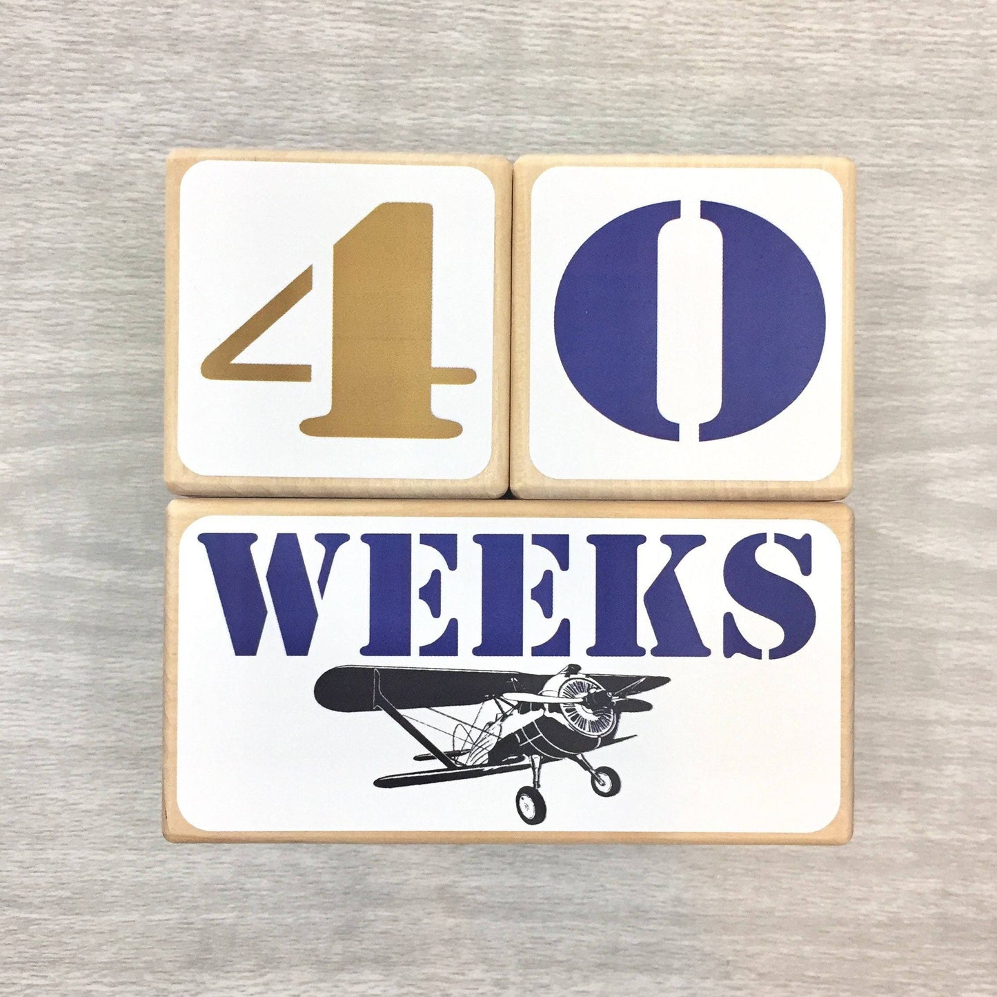 Baby Milestone Blocks -Vintage Airplanes