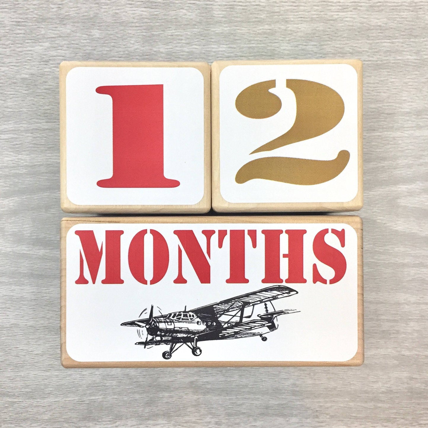 Baby Milestone Blocks -Vintage Airplanes