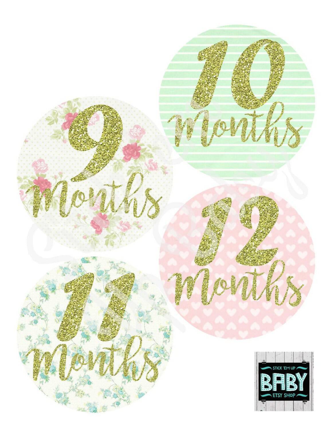 Monthly Baby Stickers -Shabby Chic