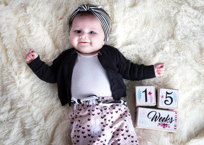 Baby Milestone Blocks - Dream Catchers