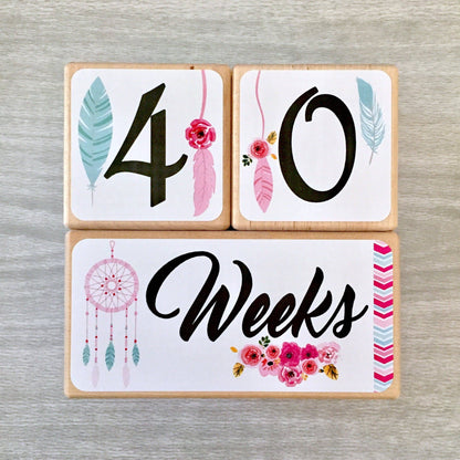 Baby Milestone Blocks - Dream Catchers