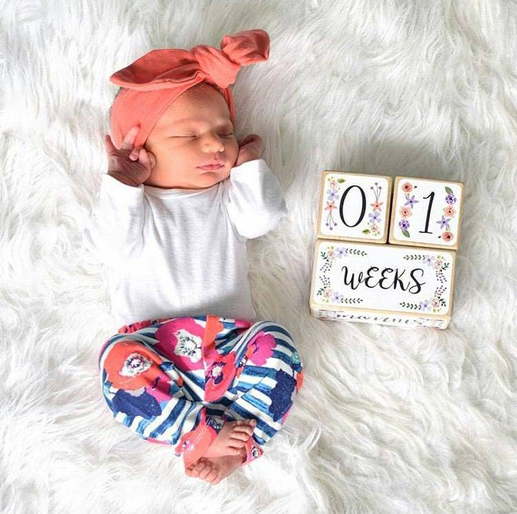 Baby Milestone Blocks - Floral