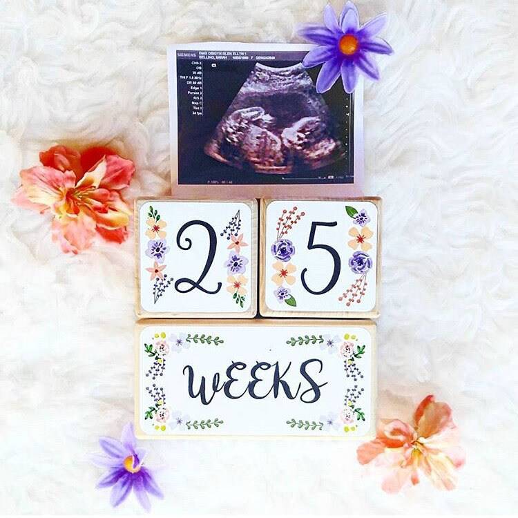 Baby Milestone Blocks - Floral