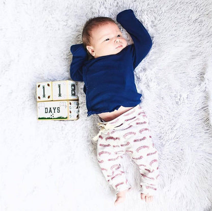 Baby Milestone Blocks - Sports