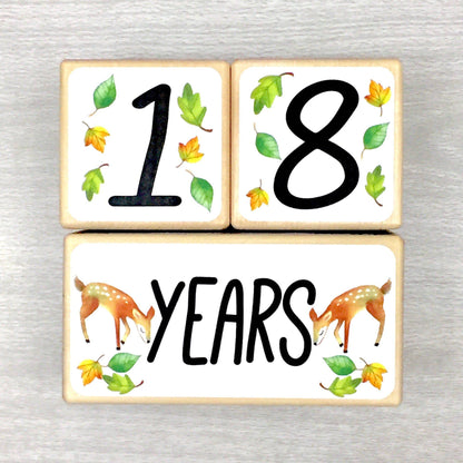 Baby Milestone Blocks - Woodland Animals