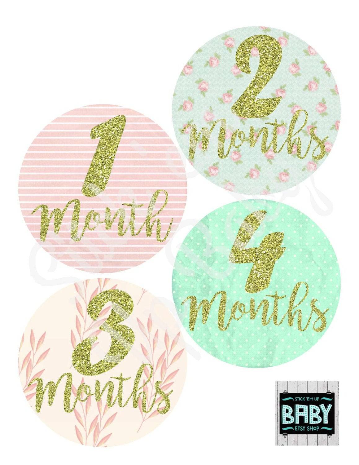 Monthly Baby Stickers -Shabby Chic