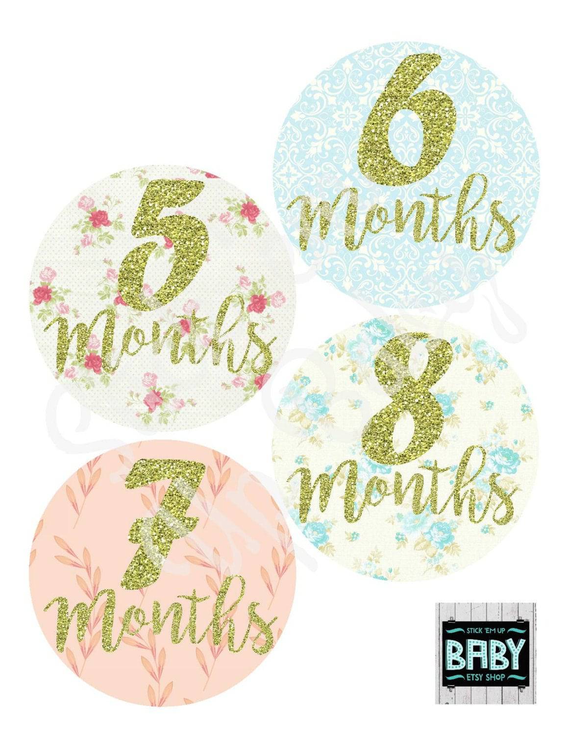 Monthly Baby Stickers -Shabby Chic