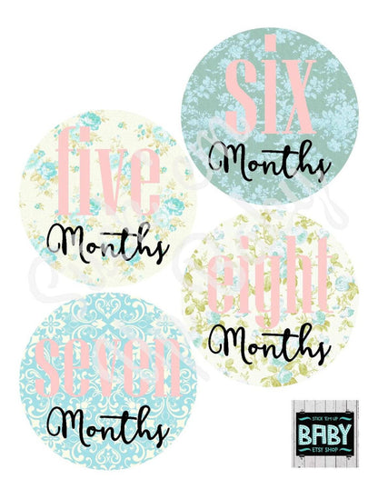 Monthly Baby Stickers - Vintage Floral