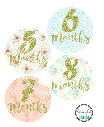 Shabby Chic | Monthly Baby Stickers | Stick’em Up Baby™