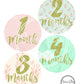Shabby Chic | Monthly Baby Stickers | Stick’em Up Baby™ - Stick'em Up Baby®