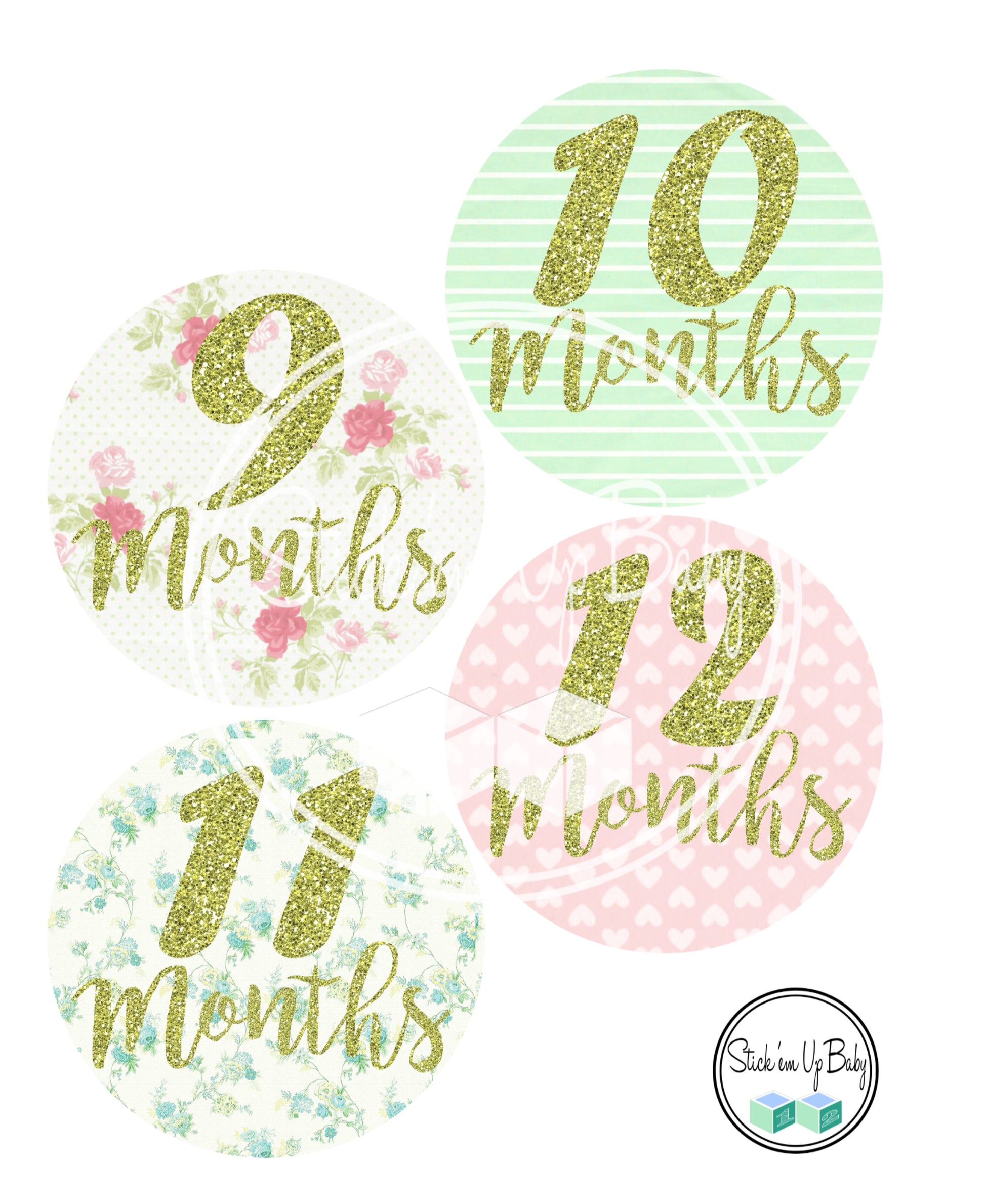 Shabby Chic | Monthly Baby Stickers | Stick’em Up Baby™ - Stick'em Up Baby®