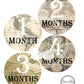 Vintage Map | Monthly Baby Stickers | Stick’em Up Baby™ - Stick'em Up Baby®
