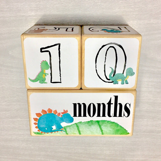 Baby Milestone Blocks - Dinosaur - Stick'em Up Baby®