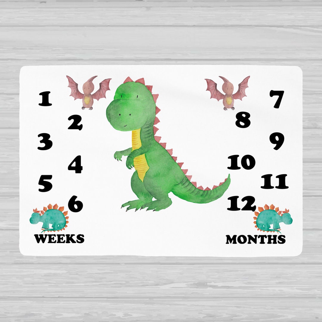 Dinosaur Baby Milestone Blanket - Baby Boy Gift - Stick'em Up Baby®