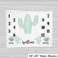 Cactus Monthly Baby Blanket - Baby Boy Gift - Stick'em Up Baby®