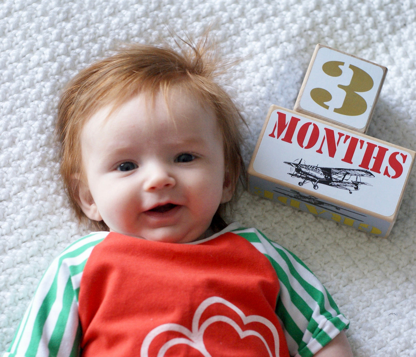 Baby Milestone Blocks -Vintage Airplanes - Stick'em Up Baby®